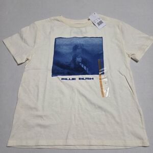 NWT Billie Eilish Cream and Blue Kids Tee Size S